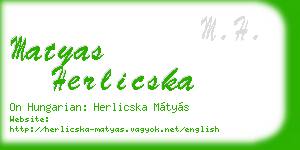 matyas herlicska business card