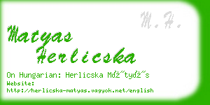 matyas herlicska business card